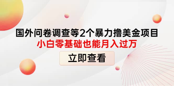 国外问卷调查等2个暴力撸美元项目，小白零基础也能月入过万-讯领网创