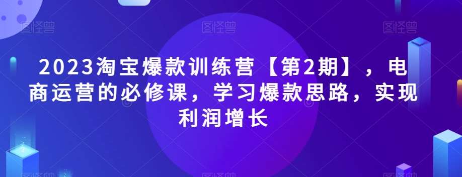 2023淘宝爆款训练营【第2期】，电商运营的必修课，学习爆款思路，实现利润增长-讯领网创