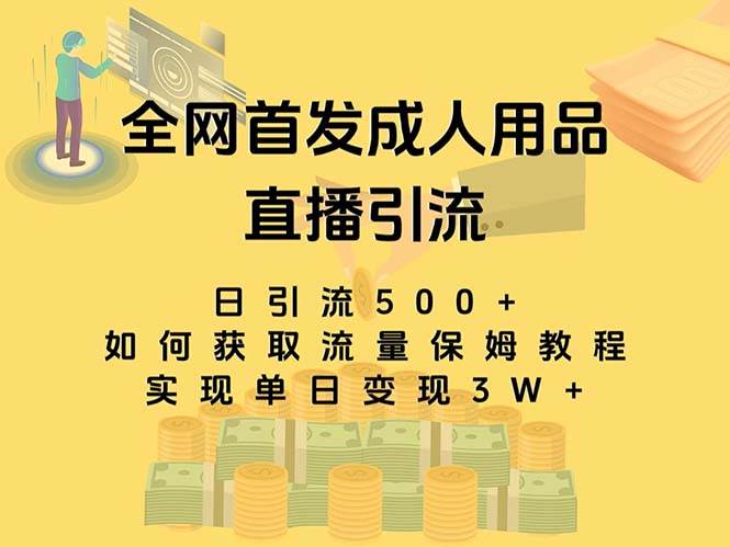 （8193期）最新全网独创首发，成人用品直播引流获客暴力玩法，单日变现3w保姆级教程-讯领网创