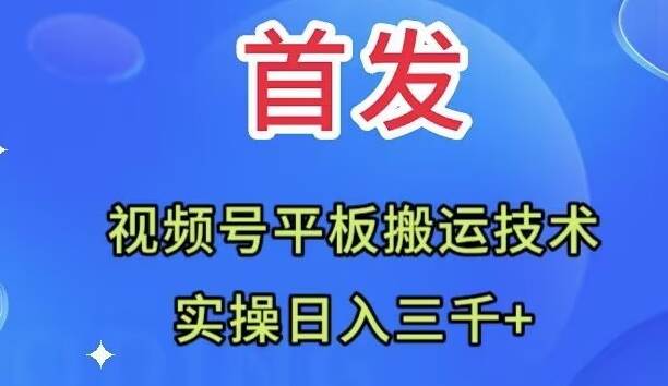 （7843期）全网首发：视频号平板搬运技术，实操日入三千＋-讯领网创