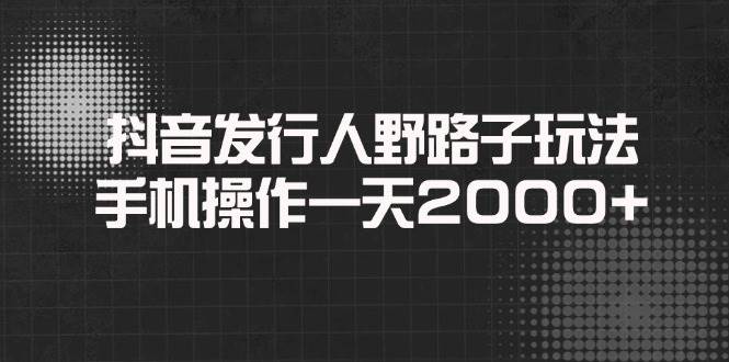 （14068期）抖音发行人野路子玩法，手机操作一天2000+-讯领网创