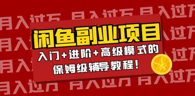 月入过万闲鱼副业项目：入门+进阶+高级模式的保姆级辅导教程-讯领网创