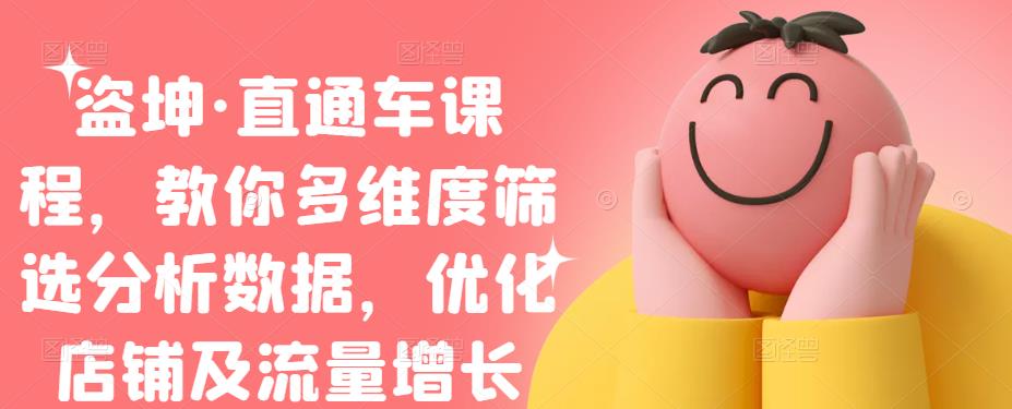 盗坤·直通车课程，教你多维度筛选分析数据，优化店铺及流量增长-讯领网创