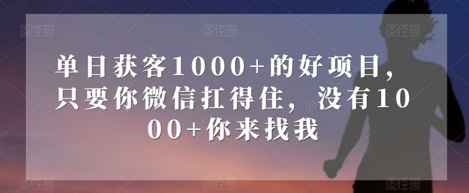 单日获客1000+的好项目，只要你微信扛得住，没有1000+你来找我【揭秘】-讯领网创