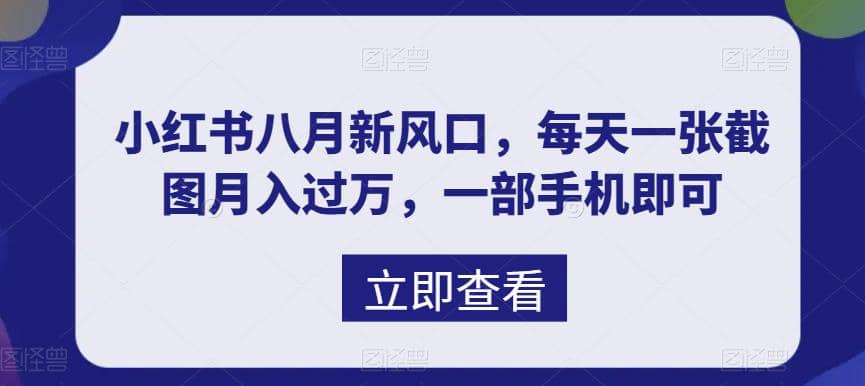 八月新风口，小红书虚拟项目一天收入1000+，实战揭秘-讯领网创
