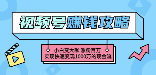 玩转微信视频号赚钱：小白变大咖涨粉百万实现快速变现1000万的现金流-讯领网创