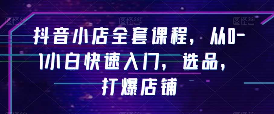 抖音小店全套课程，从0-1小白快速入门，选品，打爆店铺-讯领网创