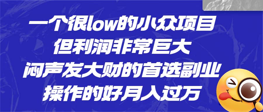 一个很low的小众项目，但利润非常巨大，闷声发大财的首选副业，月入过万-讯领网创
