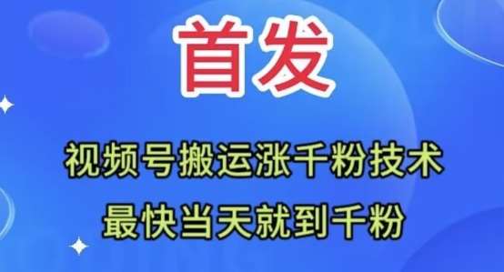 全网首发：视频号无脑搬运涨千粉技术，最快当天到千粉【揭秘】-讯领网创