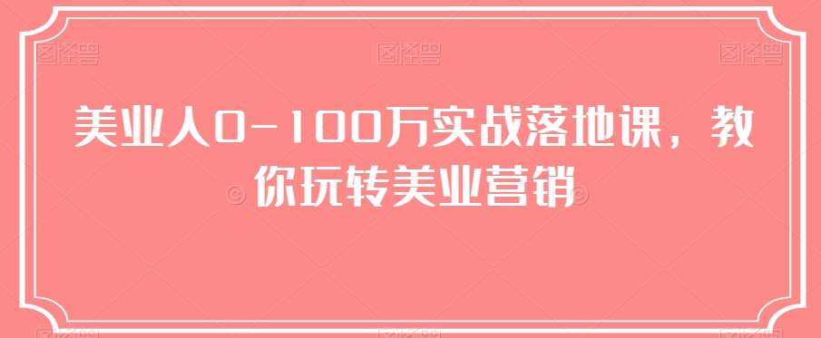 美业人0-100万实战落地课，教你玩转美业营销-讯领网创