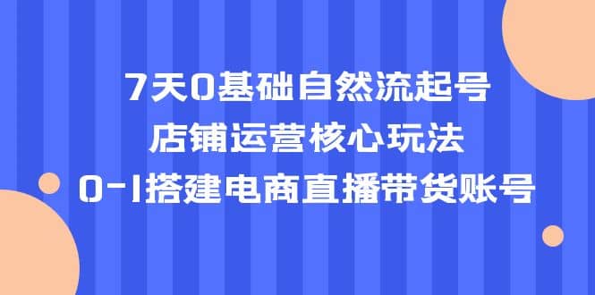 7天0基础自然流起号，店铺运营核心玩法，0-1搭建电商直播带货账号-讯领网创