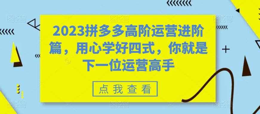 2023拼多多高阶运营进阶篇，用心学好四式，你就是下一位运营高手-讯领网创