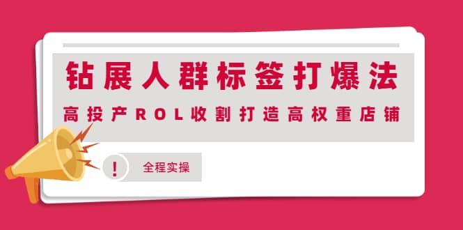 钻展人群标签打爆法，高投产ROL收割打造高权重店铺(全程实操)-讯领网创