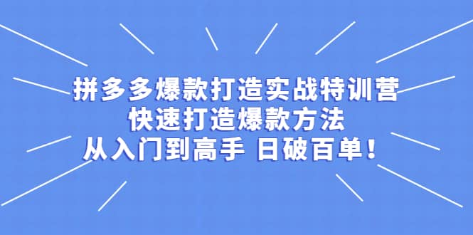 拼多多爆款打造实战特训营：快速打造爆款方法，从入门到高手 日破百单-讯领网创