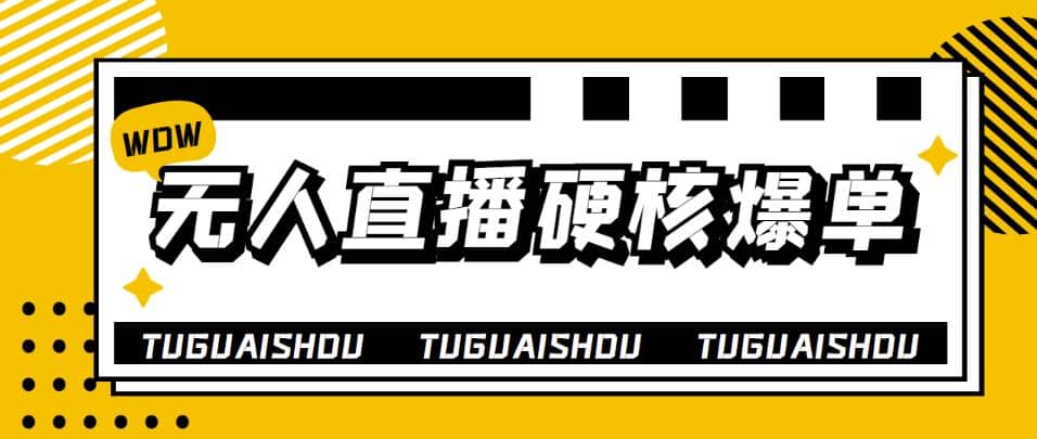 大飞无人直播硬核爆单技术，轻松玩转无人直播-讯领网创