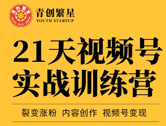 张萌21天视频号实战训练营，裂变涨粉、内容创作、视频号变现 价值298元-讯领网创