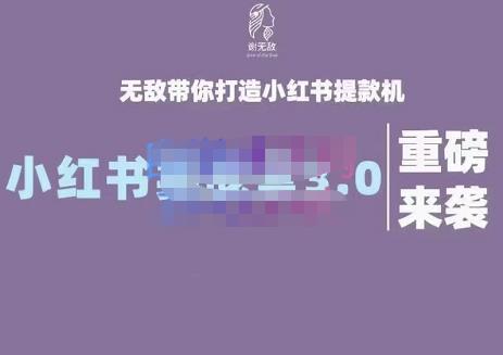 谢无敌·小红书实战营3.0，无敌带你打造小红书提款机 价值7999元-讯领网创