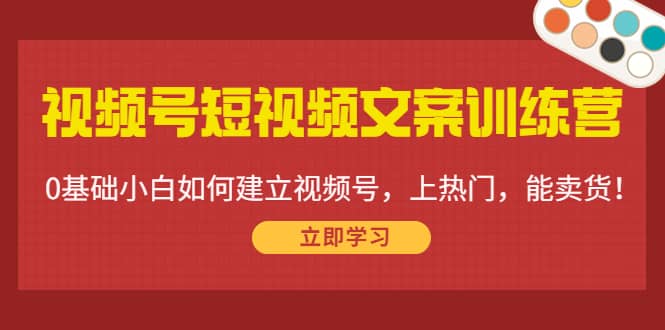 视频号短视频文案训练营：0基础小白如何建立视频号，上热门，能卖货！-讯领网创