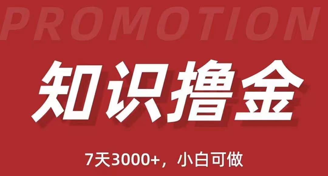 抖音知识撸金项目：执行力强当天见收益(教程+资料)-讯领网创