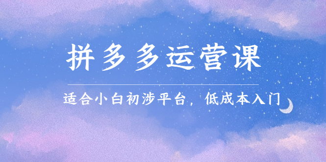 拼多多运营课，适合小白初涉平台，低成本入门-讯领网创