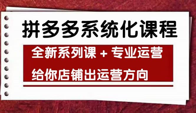 车神陪跑，拼多多系统化课程，全新系列课+专业运营给你店铺出运营方向-讯领网创