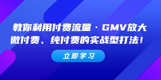 教你利用付费流量·GMV放大，微付费、纯付费的实战型打法-讯领网创