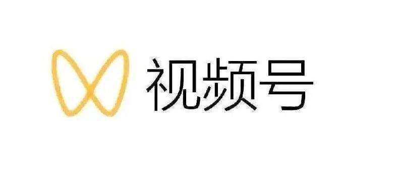 最新视频号解读，视频号真相+变现玩法【视频课程】-讯领网创