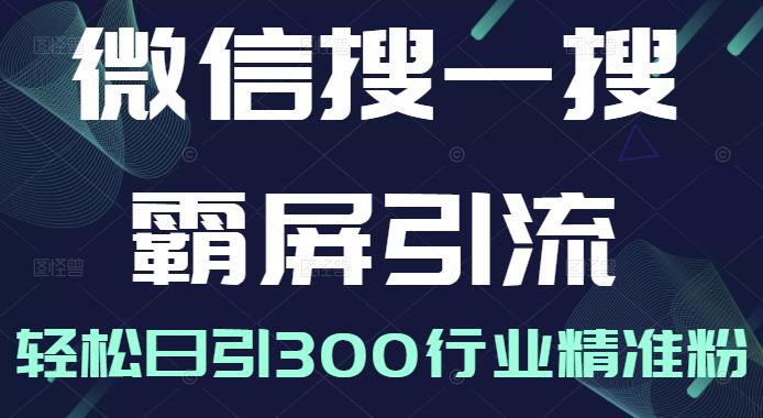 微信搜一搜霸屏引流课，打造被动精准引流系统，轻松日引300行业精准粉【无水印】-讯领网创