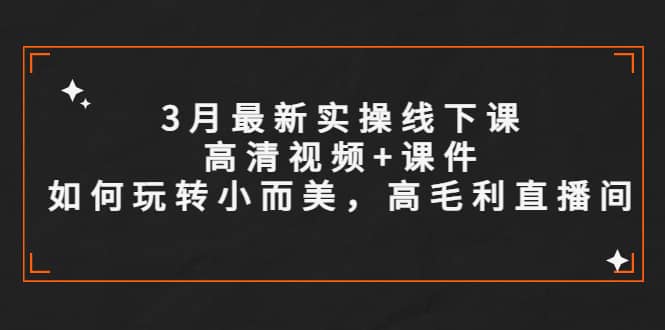 3月最新实操线下课高清视频+课件，如何玩转小而美，高毛利直播间-讯领网创