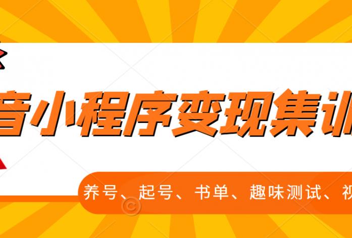 抖音小程序变现集训课，养号、起号、书单、趣味测试、视频剪辑，全套流程-讯领网创