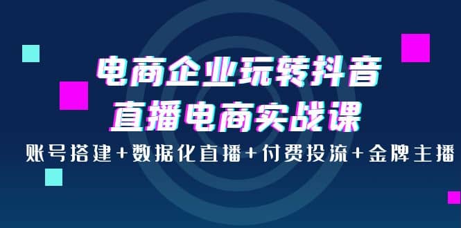 电商企业玩转抖音直播电商实战课：账号搭建+数据化直播+付费投流+金牌主播-讯领网创