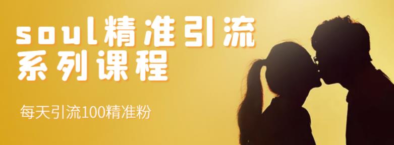 soul精准引流系列课程，每天引流100精准粉-讯领网创