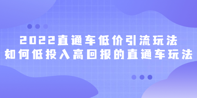 2022直通车低价引流玩法，教大家如何低投入高回报的直通车玩法-讯领网创