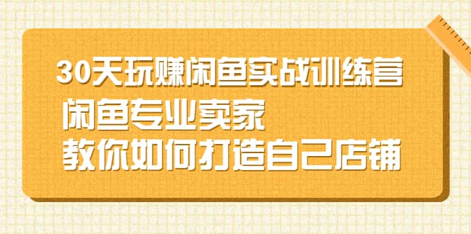 30天玩赚闲鱼实战训练营，闲鱼专业卖家教你如何打造自己店铺-讯领网创