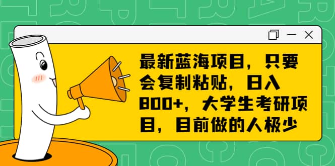 最新蓝海项目，只要会复制粘贴，日入800+，大学生考研项目，目前做的人极少-讯领网创
