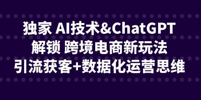 独家 AI技术ChatGPT解锁 跨境电商新玩法，引流获客+数据化运营思维-讯领网创