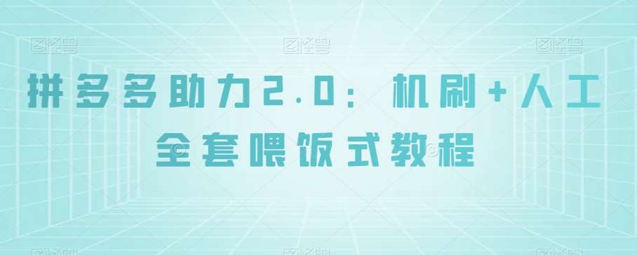 拼多多助力2.0：机刷+人工全套喂饭式教程【揭秘】-讯领网创