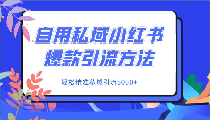 自用私域小红书爆款引流方法，轻松精准私域引流5000+-讯领网创