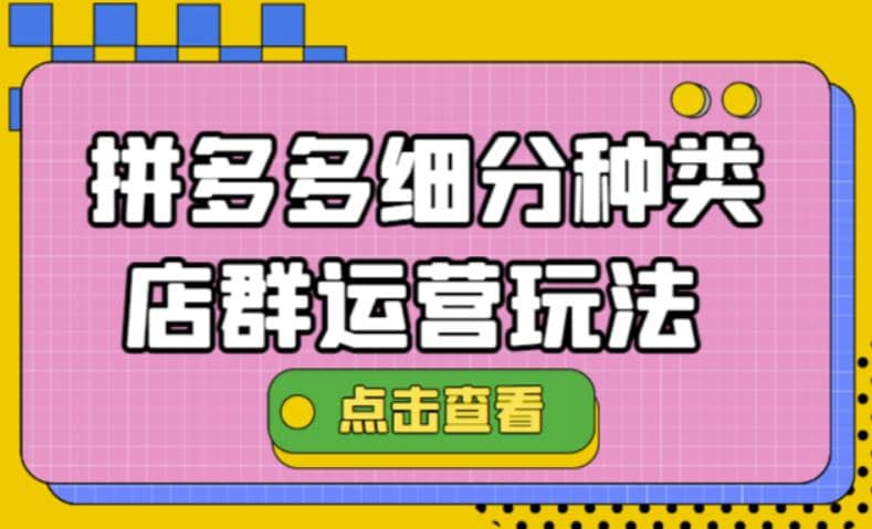 拼多多细分种类店群运营玩法3.0，11月最新玩法，小白也可以操作-讯领网创
