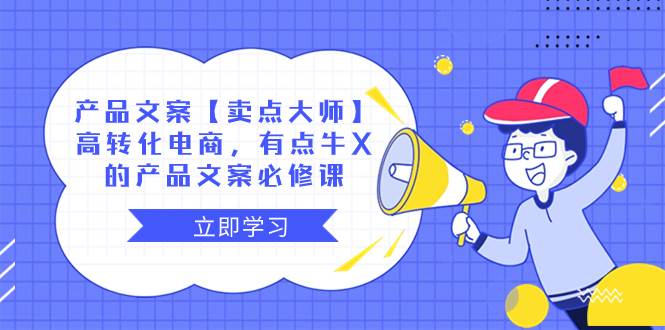 （8244期）产品文案【卖点 大师】高转化电商，有点牛X的 产品文案必修课-讯领网创