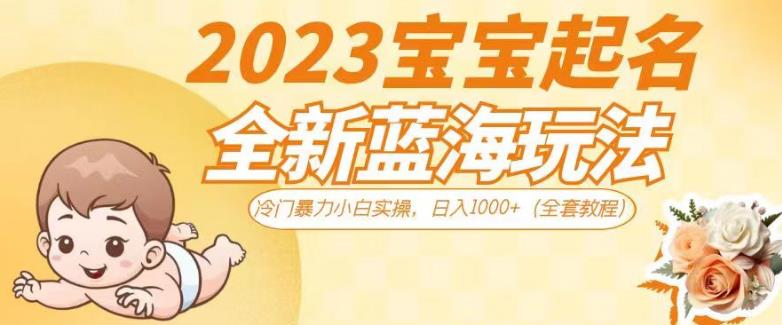 2023宝宝起名全新蓝海玩法，冷门暴力小白实操，日入1000+（全套教程）【揭秘】-讯领网创
