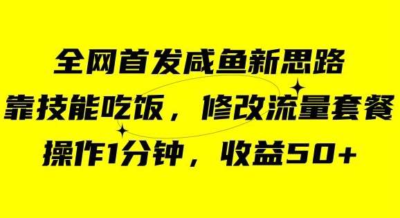 咸鱼冷门新玩法，靠“技能吃饭”，修改流量套餐，操作1分钟，收益50【揭秘】-讯领网创