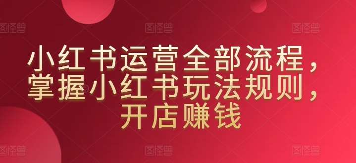 小红书运营全部流程，掌握小红书玩法规则，开店赚钱-讯领网创