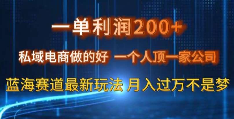 一单利润200私域电商做的好，一个人顶一家公司蓝海赛道最新玩法【揭秘】-讯领网创