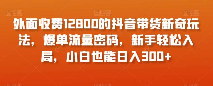 外面收费12800的抖音带货新奇玩法，爆单流量密码，新手轻松入局，小白也能日入300+【揭秘】-讯领网创