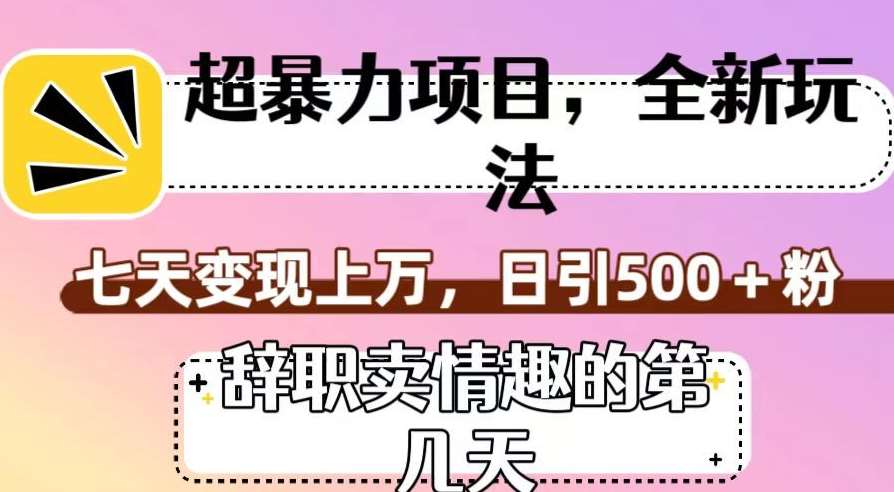 超暴利项目，全新玩法（辞职卖情趣的第几天），七天变现上万，日引500+粉【揭秘】-讯领网创