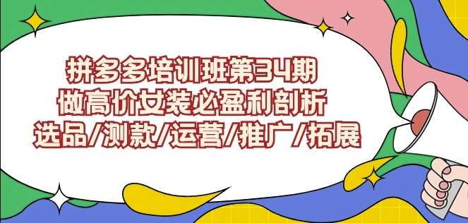 拼多多培训班第34期：做高价女装必盈利剖析选品/测款/运营/推广/拓展-讯领网创