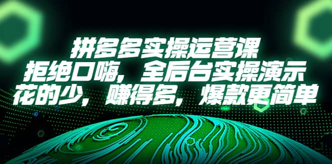 拼多多实操运营课：拒绝口嗨，全后台实操演示，花的少，赚得多，爆款更简单-讯领网创
