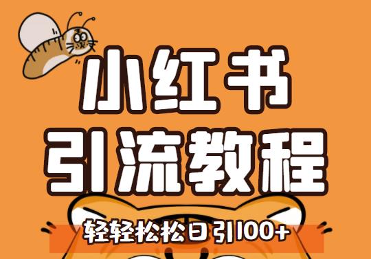 小红书运营引流全系列课程，每天引流100精准粉-讯领网创
