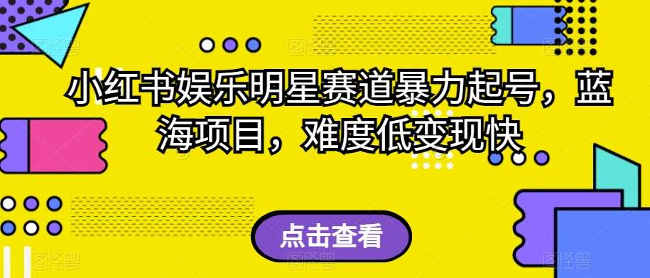 小红书娱乐明星赛道暴力起号，蓝海项目，难度低变现快【揭秘】-讯领网创